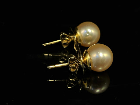 Madeleine 18K Yellow Gold South Sea Pearl Earrings