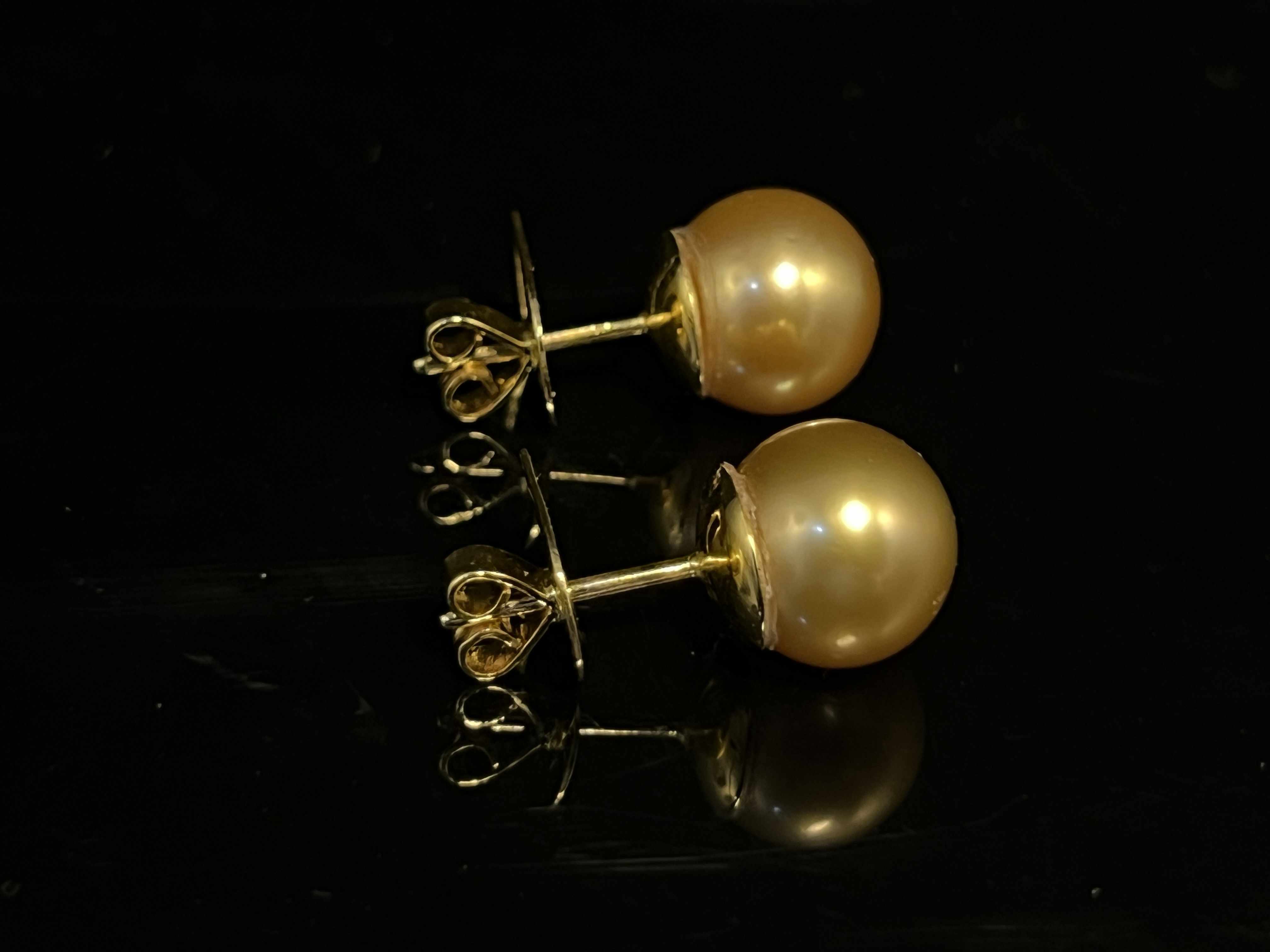 Madeleine 18K Yellow Gold South Sea Pearl Earrings