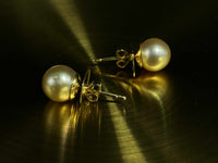 Madeleine 18K Yellow Gold South Sea Pearl Earrings